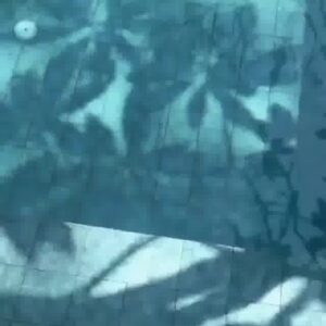 Angelina Figure Full Sexy Video Selfie Video From Below Sexy Tits